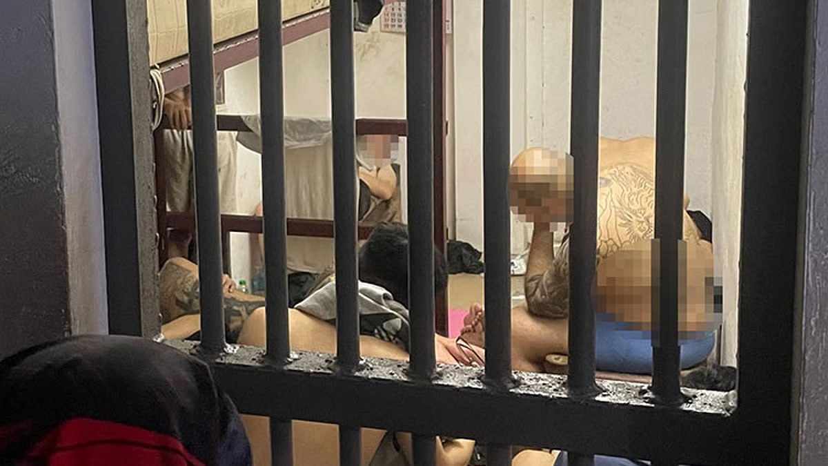 筷子头条-【菲南再破诈骗窝点】17名台湾籍嫌犯宿务落网！涉“情感诈骗”与跨国洗钱